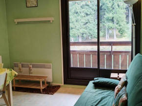 Appartement cosy avec balcon, à proximité du centre aquatique et des randonnées - FR-1-771-38